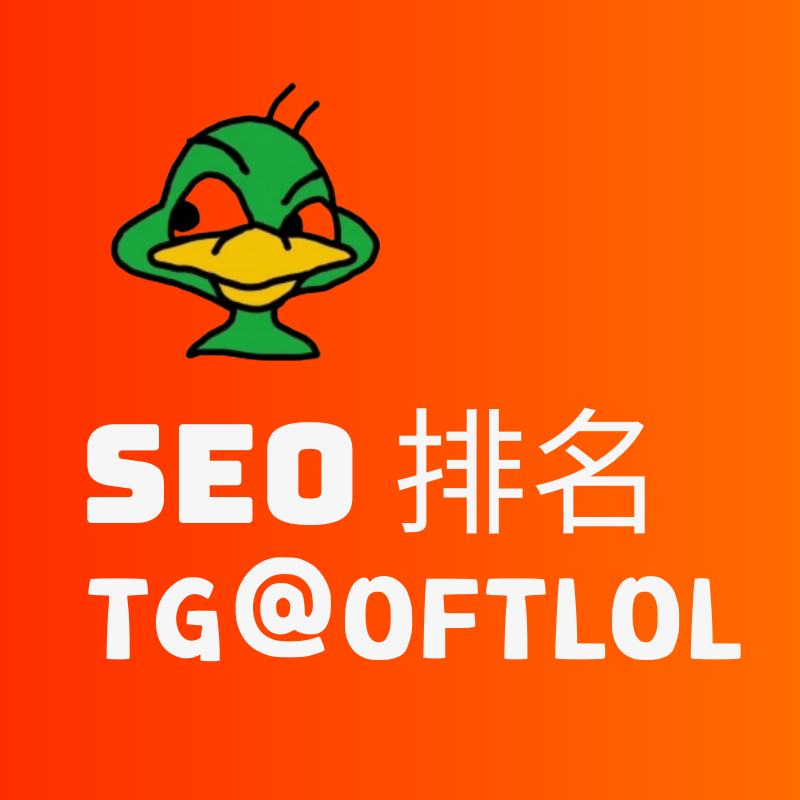 VVVN.NET SEO排名优化服务 免实名VPS 香港站群服务器 日本站群服务器 美国站群服务器 Telegram联系@oftlol